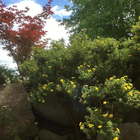 Freundliches Studio Bei Boeblingen Altdorf  Zewnętrze zdjęcie